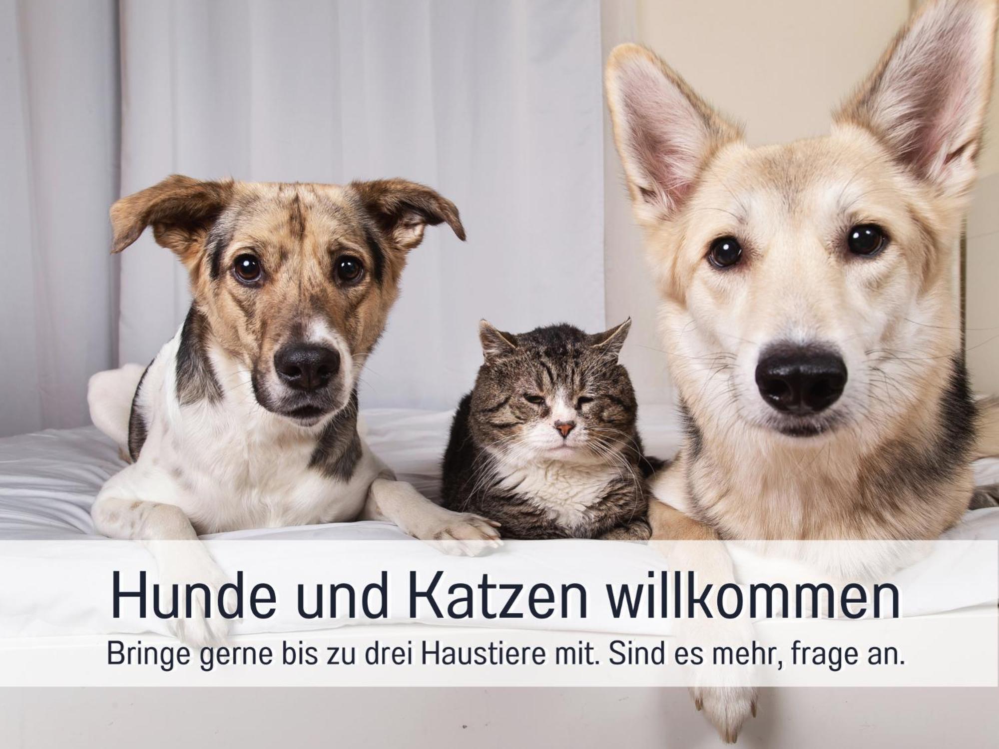 Ferienhaus Toepferhaus - Strandnah, Haustierfreundlich, Optimal Fuer Workation, Kaminofen, Garten, Fuer Paare Und Alleinreisende Steinberg  ภายนอก รูปภาพ