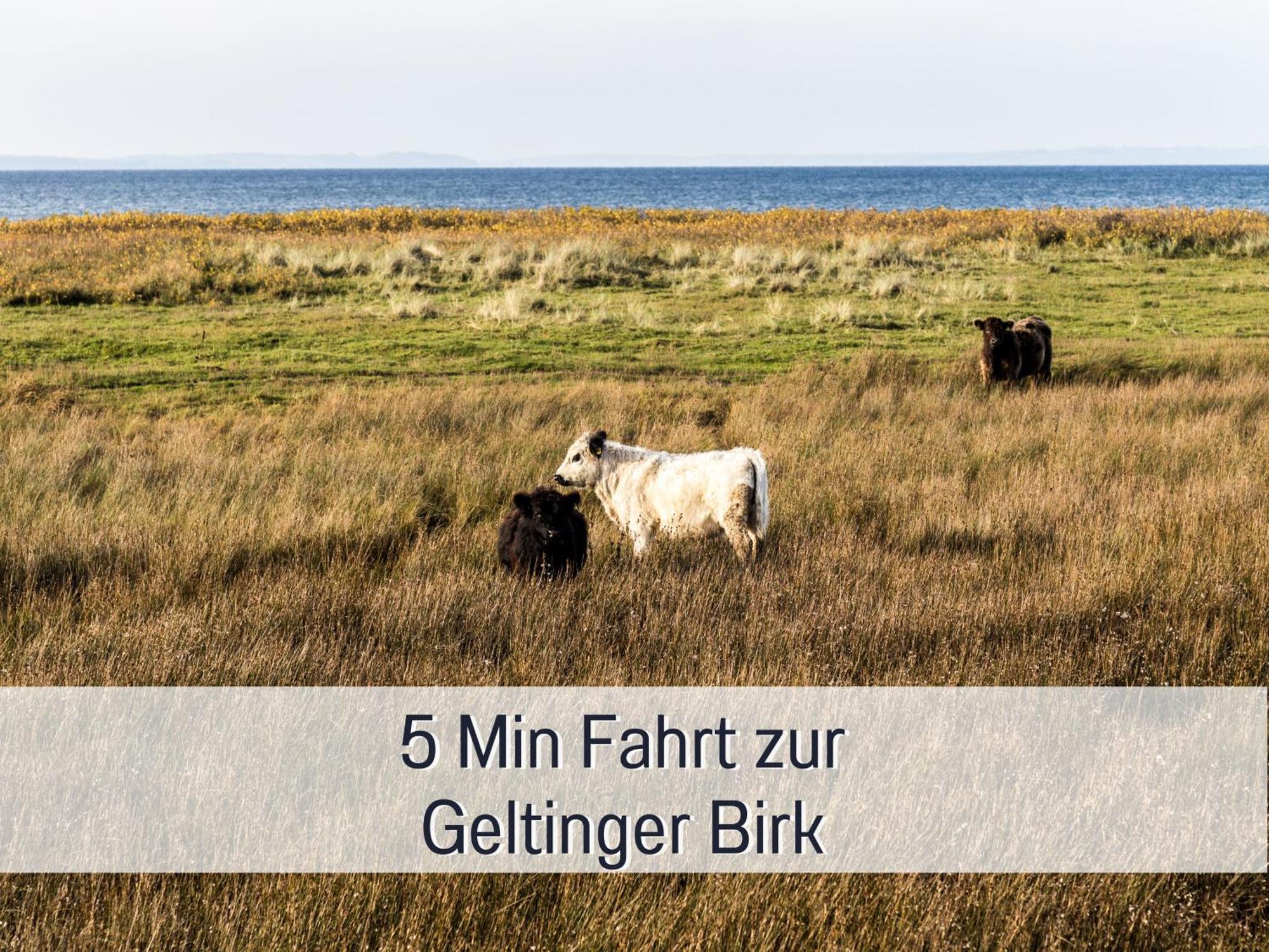 Ferienhaus Toepferhaus - Strandnah, Haustierfreundlich, Optimal Fuer Workation, Kaminofen, Garten, Fuer Paare Und Alleinreisende Steinberg  ภายนอก รูปภาพ